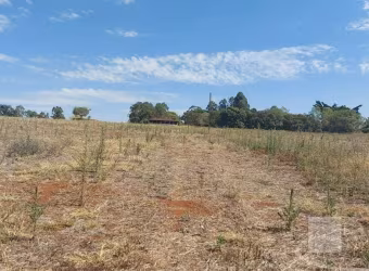 Sitio para venda em Santo Antonio da Alegria-SP, com 9,97 alqueires, planta 8 alqueires, casa sede, de funcionários, barracão e minas de agua