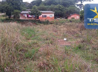 Terreno à venda, 1049 m² por R$ 750.000,00 - Centro - Quitandinha/PR