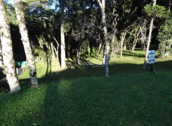 TERRENO À VENDA, 595 M²  - ALTOS PINHEIROS - CANELA/RS, Centro, Canela - RS