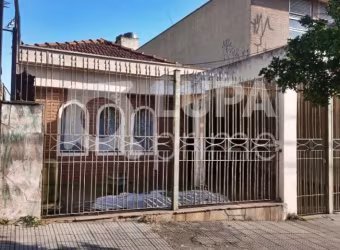 CASA TÉRREA COM 3 QUARTOS PARA VENDA, VILA MARIA, SÃO PAULO