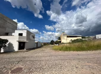 Lote à venda no bairro Chanadour com 300 m².
