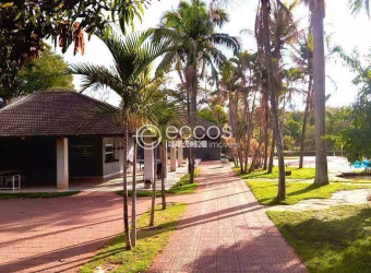 Chácara à venda, 3 quartos, 1 suíte, 20 vagas, Patrimônio - Uberlândia/MG