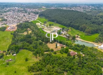 Terreno à venda, 24498 m² por R$ 6.990.000,00 - Jardim Monte Santo - Almirante Tamandaré/PR