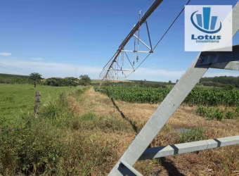 Fazenda à venda - Vargem Grande do Sul/SP