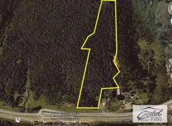 Área com 63.202,79m² BR 116, km 297