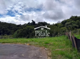 Terreno à venda, 244 m² por R$ 282.000,00 - Jardim do Rio Cotia - Cotia/SP