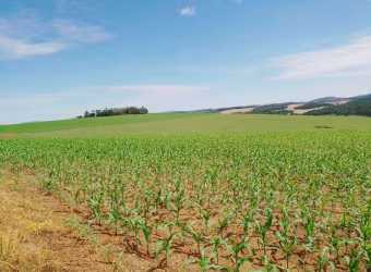 Fazenda à Venda em Itaporanga, SP - 270 Alqueires Oportunidade Única!