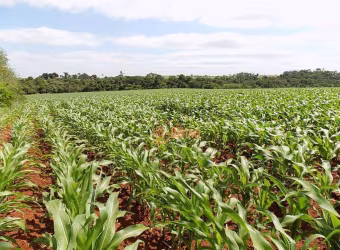 Sítio à venda, 38 Hectares por R$ 2.550.000