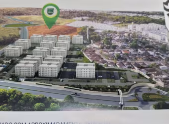 Cidade Arbo Direcional