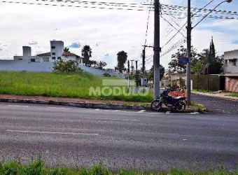 Terreno para locação Bairro Morada da Colina