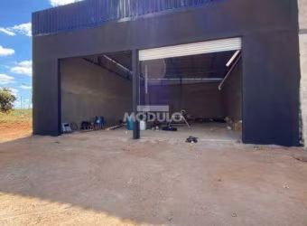 Galpão/Depósito/Barracão à venda, 2 vagas, Shopping Park - Uberlândia/MG
