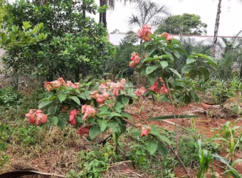 CHÁCARA à venda, MORADA NOVA - Uberlândia/MG