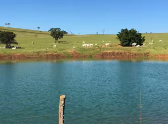 Fazenda de Luxo à Venda em Corumbá de Goiás-GO - 3 quartos, 3 suítes, 3 salas, 4 banheiros, 5 vagas de garagem, 12.530.000,00 m² de área.
