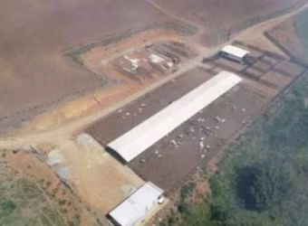 EXCELENTE FAZENDA COM SISTEMA DE CONFINAMENTO A VENDA NA REGIÃO DE SÃO JOSÉ DOS CAMPOS - SP ??   Área Total de 256 Hectares ou 105 Alqueires Paulist