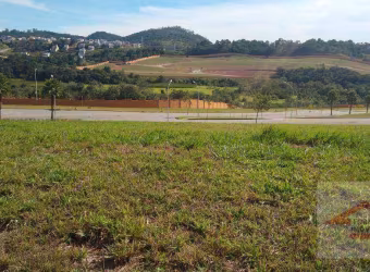 Lote Alphaville