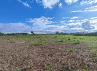 Área comercial com 37.556m² de terreno para locação e venda - Adelino Simioni