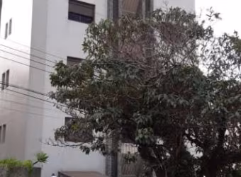 Apartamentos Padrão em Poços de Caldas