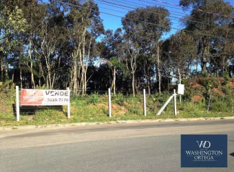 Área à venda, 9500 m² por R$ 2.185.000,00 - Barro Preto - São José dos Pinhais/PR