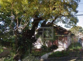 Terreno residencial à venda, Vila Ipiranga, Porto Alegre.