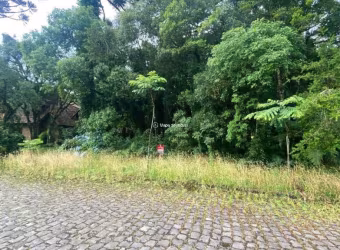 Terreno à venda na Carlos Felipe Spindler, Bosque Sinoserra, Canela por R$ 768.500