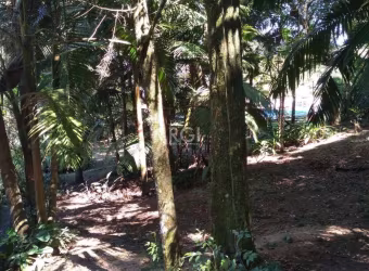 Belíssimo Terreno com 6.660m², de  frente para o lago Guaíba, com duas entradas, uma pela Av. Beira Rio e outra pela Av. Joaquim Martins da Silva.         &lt;BR&gt;Encantadora propriedade com piscina