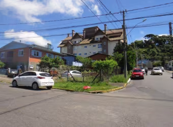 Terreno Comercial à venda no Bairro Floresta com 384 m² de área privativa