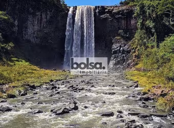 FAZENDA  COSTA RICA MS