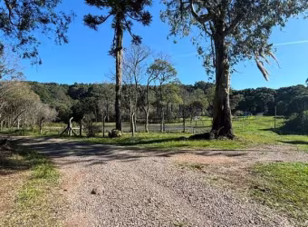 Chácara / sítio com 1 quarto à venda na Fazenda Souza, Caxias do Sul  por R$ 178.900