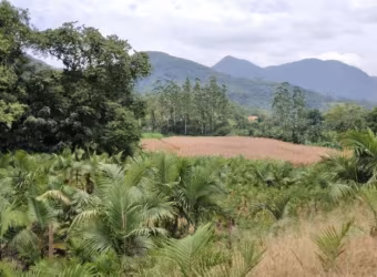 Chácara / sítio com 1 quarto à venda em Garibaldi, Jaraguá do Sul  por R$ 450.000
