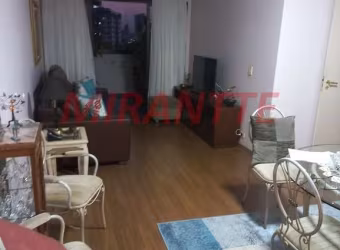 Apartamento de 90m² com 3 quartos em Santa Terezinha