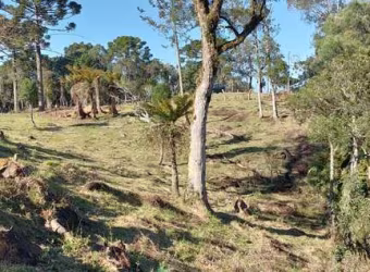 área de 14 hectares no vacariano de fácil acesso, próximo a Urubici, Rio Rufino