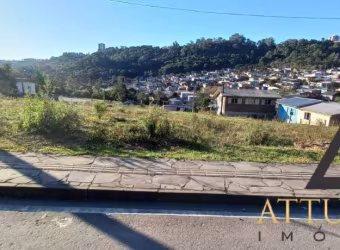 Terreno no bairro Santa Catarina | Loteamento Colina dos Plátanos