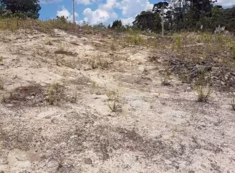 Terreno Vale Dos Pinhais