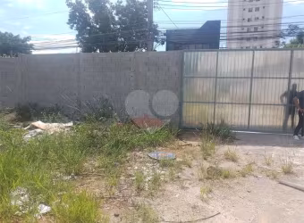 Terreno locação Tucuruvi