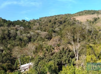 Fazenda à venda, 193600 m² por R$ 1.100.000,00 - Zona Rural - Cruz Machado/PR