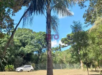 Chácara / sítio à venda na José Biscaia de Andrade, 1, Boa Vista, Mandirituba por R$ 150.000