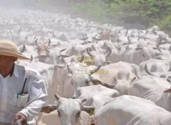 Belíssima Fazenda Bodoquena a venda no MS