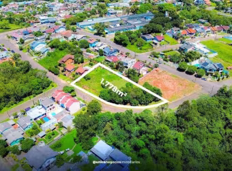 Lote/Terreno, Jardim Riva - Portão