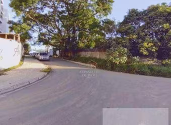 Apartamento Residencial à venda, Meu Cantinho, Suzano - AP0030.