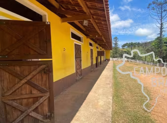HARAS COM ESTRUTURA IMPECÁVEL PARA CRIADORES EXIGENTES!