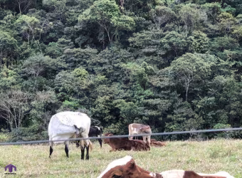 Fazenda Rural Antônio Dias - MG - Zona Rural