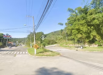 Terreno à venda na Rodovia Admar Gonzaga, 3489, Itacorubi, Florianópolis, 1110 m2 por R$ 957.000