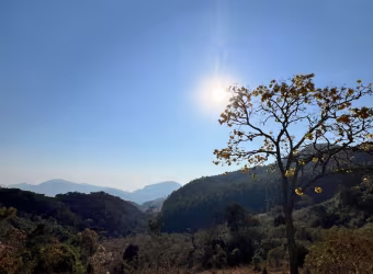 Terreno à venda - 67.000m2 - Luminosa