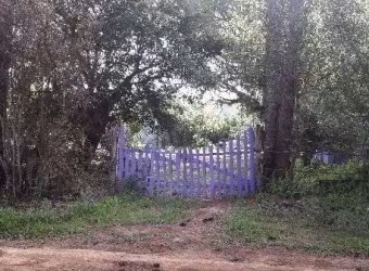 Terreno para Venda - 0m², 0 dormitórios, Lageado