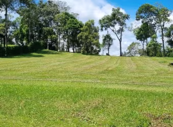 Terrenos Residenciais em Invernadinha