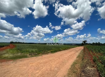 Chácara à venda, 30000 m² por R$ 750.000,00 - Rio Do Salto - Cascavel/PR