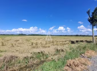 TERRENO 22.000M²