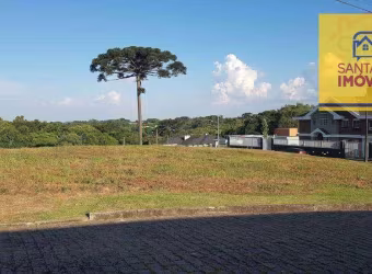 Terreno à venda, 6888 m² por R$ 1.400.000 - Fazendinha - Campo Largo/PR
