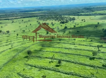 Fazenda para Venda em Alcinópolis, Área rural