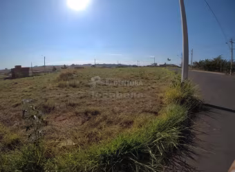 Lote de 237m² no Menezes 4